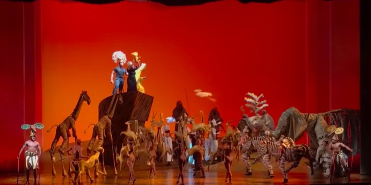 Video The Lion King Suffers Flood Due To Blackout The Show Goes On With Costume Adjustments