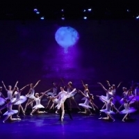 Nutmeg 2019 Summer Dance Festival Comes to The Warner Video