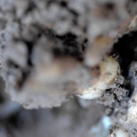 The Rose Art Museum Announces It Will Now Be Open Year Round