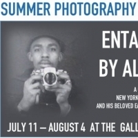 The Gallery at The Sheen Center for Thought and Culture Presents ENTANGLEMENTS BY ALEX HARSLEY