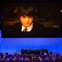 Hollywood Bowl Summer Season to Feature HARRY POTTER, JURASSIC PARK, and More Set to  Photo
