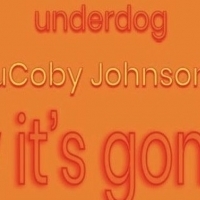 BWW Review: HOW IT'S GON' BE at Underdog: See It Before It Closes!