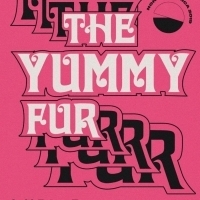 The Yummy Fur Announce North American Tour Dates Photo