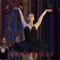 Photo/Video: The Show Must Go On for Moscow Ballet's SWAN LAKE in Manila; Show Runs Now Thru  6/22