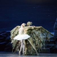 BWW Review: American Ballet Theatre's SWAN LAKE Photo