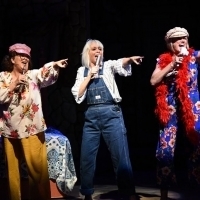 BWW Review: MAMMA MIA! at The Naples Players is Fabulously Fun! Video