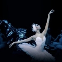 SWAN LAKE to Play Moscow Kremlin Theatre Video