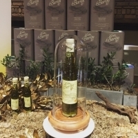 MUELOLIVA OLIVE OIL Celebrates at Sousa House in the West Village