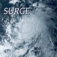 SURGE By Tanya Perez Makes New York City Premiere At The Tank's Darkfest Video