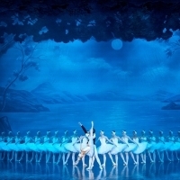 Bolshoi Ballet Stars, Moscow Ballet 'La Classique' Join Forces in SWAN LAKE; Show Ope Photo