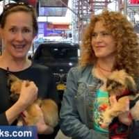 VIDEO: Broadway Barks Cancels 2019 Event Due to Construction in Shubert Alley Video
