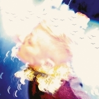 EDINBURGH 2019: AND THE BIRDS DID SING Q&A Interview