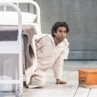 Photo Flash: First Look at LIFE OF PI at Sheffield Theatres Video