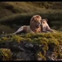 VIDEO: THE LION KING Stars Beyonce & Donald Glover Debut 'Can You Feel The Love Tonig Video