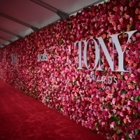 VIDEO: 2019 TONY AWARDS - Watch Your Favorite Stars Strut the Red Carpet!