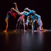 Switzerland Joins Contemporary Dance Festival
