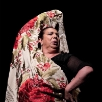Forever Flamenco Presents BAILAR ES SENTIR At The Fountain Theatre Photo