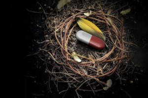 CHRYSANTHEMUMS, OR THE DEATH OF LIÙ to Premiere at Hungarian State Opera Image