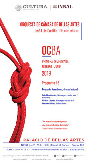 Benjamin Haemhouts, de Bélgica, invitado a dirigir la Orquesta de Cámara de Bellas Artes Image