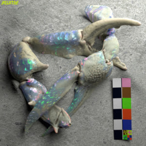 Flume Debuts LET YOU KNOW With London Grammar Image