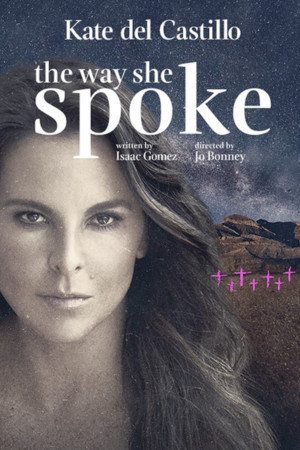 Audible Launches Accessible Ticket Initiative for THE WAY SHE SPOKE Image
