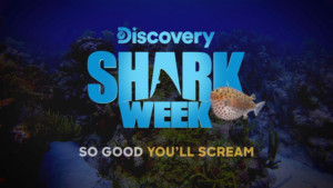 Rob Riggle Returns to SHARK WEEK with SHARK TRIP: EAT. PREY. CHUM Image