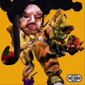 Dizzy Fae's New Mixtape NO GMO Out Now Image