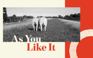 Shakespeare's Globe Announces Full Casting For AS YOU LIKE IT Image