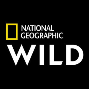 Nat Geo WILD to Premiere OUT THERE WITH JACK RANDALL Image