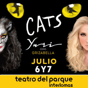 CATS México de Gerardo Quiroz, sigue cosechando grandes éxitos y reuniendo grandes estrellas como YURI en el papel de Grizabella  Image