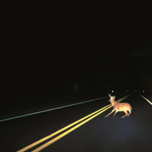 The Bright Smoke Share Third Album 'Gross National Happiness' Image
