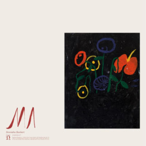 Devendra Banhart Shares New Single ABRE LAS MANOS Image