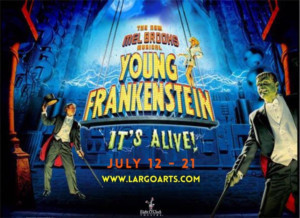 Review: Eight O'Clock Theatre Puts on the Ritz with Mel Brooks' YOUNG FRANKENSTEIN Image