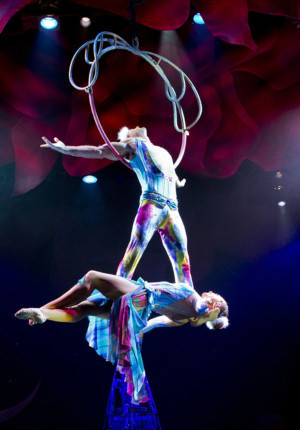 CIRQUE DREAMS HOLIDAZE to Ring in the Holidays at Van Wezel  Image