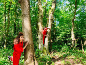 New Outdoor Multi-Arts Programme WONDER WOODS Launches in Nottingham 