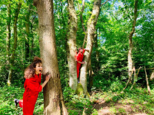New Outdoor Multi-Arts Programme WONDER WOODS Launches in Nottingham Image