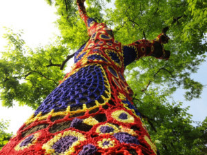 Art Installation In Bindy Bazaar Woods To Open To Public On June 29 Image