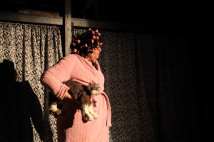 A CAT FEST! Returns To Chicago This August At The Hairpin Arts Center Image