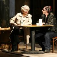 Review - The Singing Forest: Postscript To A Kiss