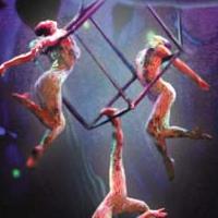 Review - Cirque Dreams Jungle Fantasy:  Somewhere That's Green