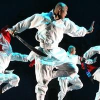 Review - Soul of Shaolin: Everybody Was... Oh, You Know
