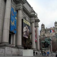 AMNH Announces Their Public Programs For May