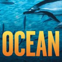 STOMP Makes Waves With New Movie WILD OCEAN For World Ocean Day 6/8 Video
