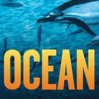 STOMP Makes Waves With New Movie WILD OCEAN For World Ocean Day 6/8