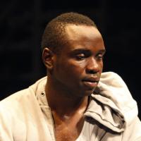 Photo Flash: THE BROTHER/SISTER PLAYS at The Public Theate