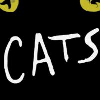 'CATS' Purrs at the Hippodrome Theatre  Video