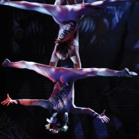 BWW Reviews: CIRQUE DREAMS ILLUMINATION is Impressive and Family-Friendly  Video