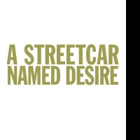 Casting Announced for Cromer-Directed STREETCAR NAMED DESIRE at Writer's Theatre Video