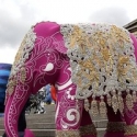 TV: Disney's 'The Lion King' Elephant Parade Video Blog  - UK / West End Theater Video