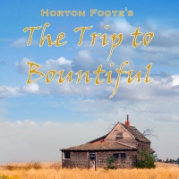 THE TRIP TO BOUNTIFUL Begins Performances at The Quotidian Theatre, 4/16 Video